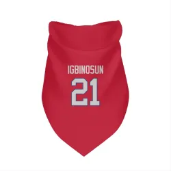 Buffalo Bills Davison Igbinosun Red Pet Bandana for Dog & Cat