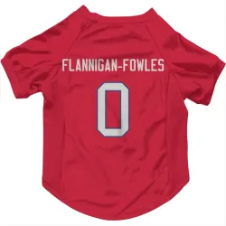 Buffalo Bills Demetrius Flannigan-Fowles Red Pet Jersey for Dog & Cat