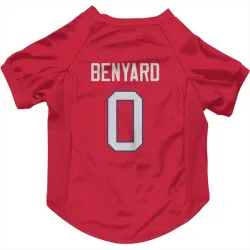 Buffalo Bills Gabriel Benyard Red Pet Jersey for Dog & Cat