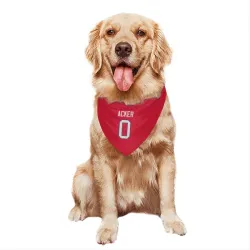 Buffalo Bills Jackson Acker Red Pet Bandana for Dog & Cat