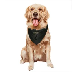 Buffalo Bills Jordan Dunbar Black Service Pet Bandana for Dog & Cat