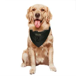 Buffalo Bills Mac Dalena Black Service Pet Bandana for Dog & Cat